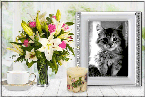 022ladouceurd-un-soir