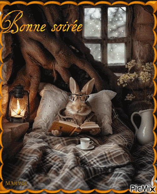 06les-cookers-de-maryse_5