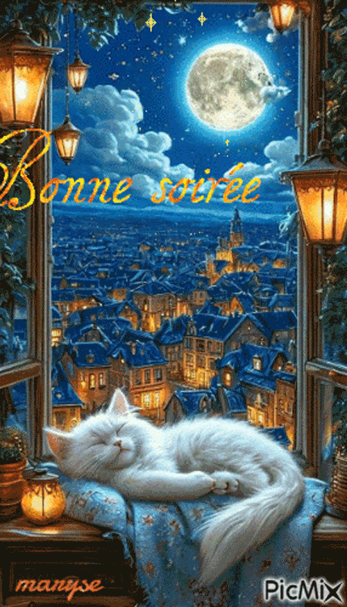 09les-cookers-de-maryse_2