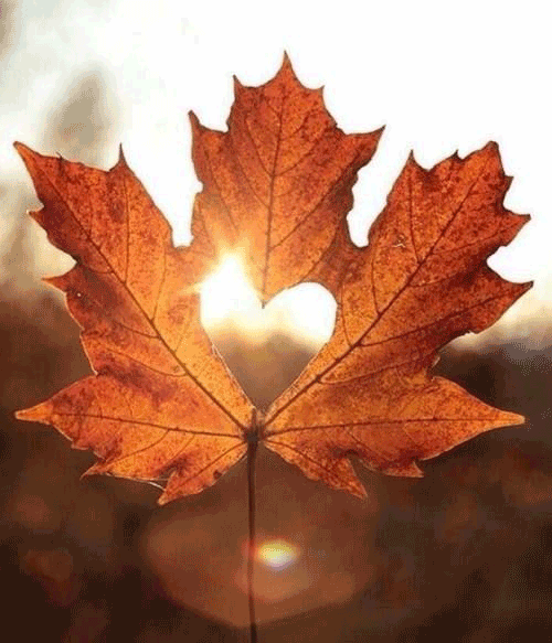 12douceur-et-detente_10