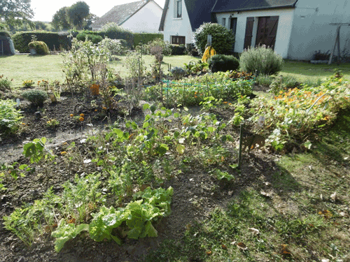 19le-taniere-de-dilou