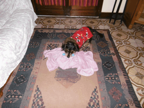 23lataverne-de-dilou