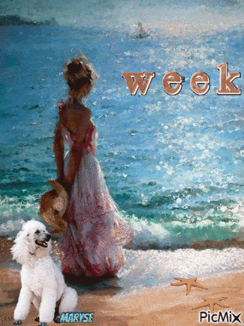 23lescoojkersdemaryuse