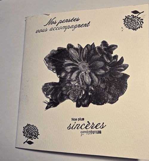 23raymondedejardinfleuri