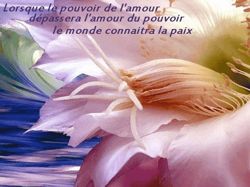 24douceur-et-detente_10