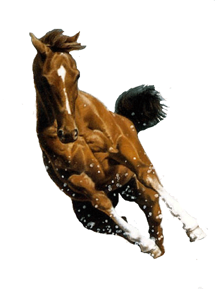 GALOP CHEVAL