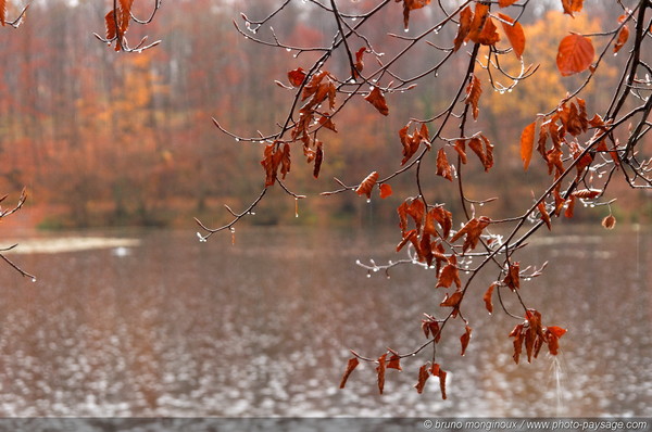 PLUIE D AUTOMNE