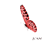 jean-papillon-rose_1