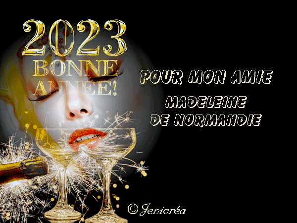 madeleine-de-normandie_10